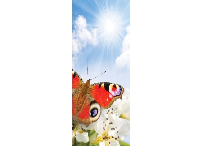 Наклейка на дверь Весна, цветок и бабочка